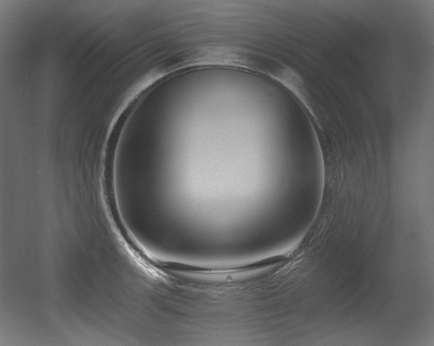 X0000056361139200508291337