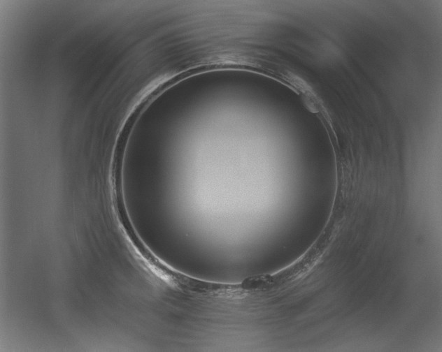 X0000056361141200508291337