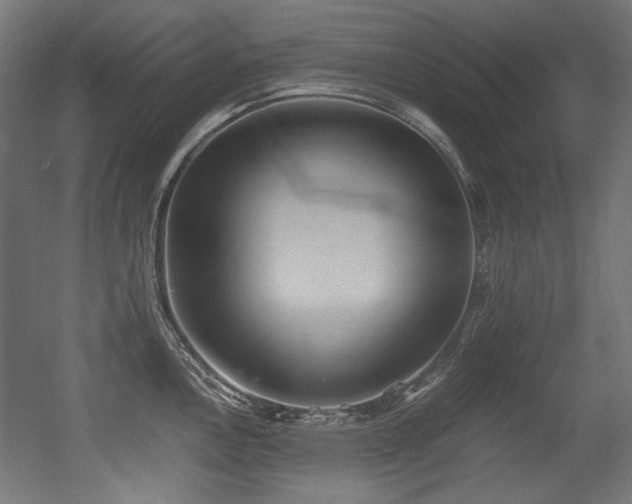 X0000056361146200508291338