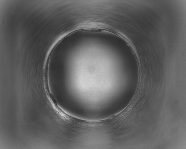 X0000056361152200508291338