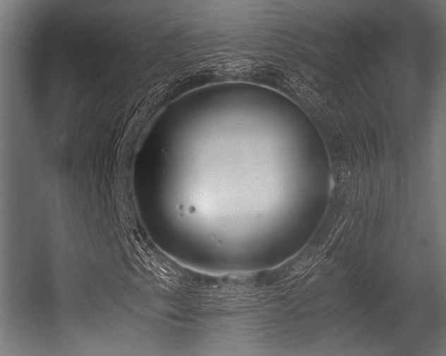 X0000056361153200508291337