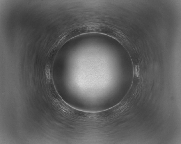 X0000056361155200508291337