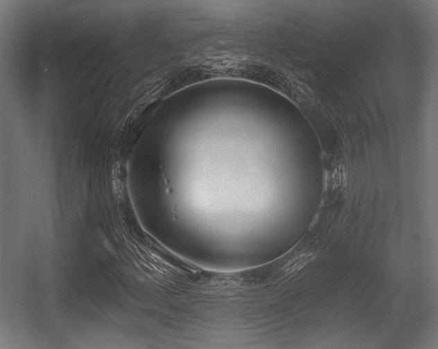 X0000056361156200508291337
