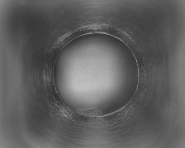 X0000056361158200508291337