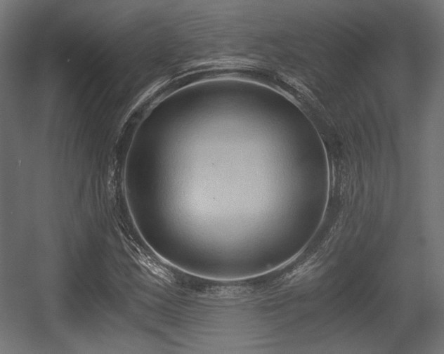 X0000056361163200508291337