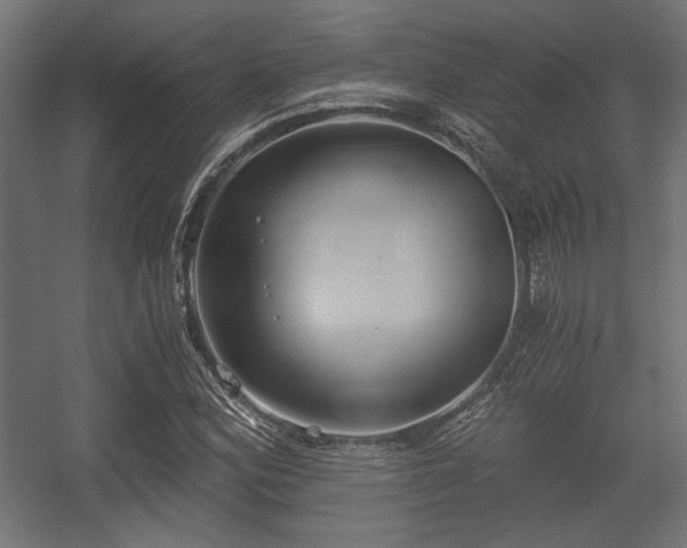 X0000056361164200508291337