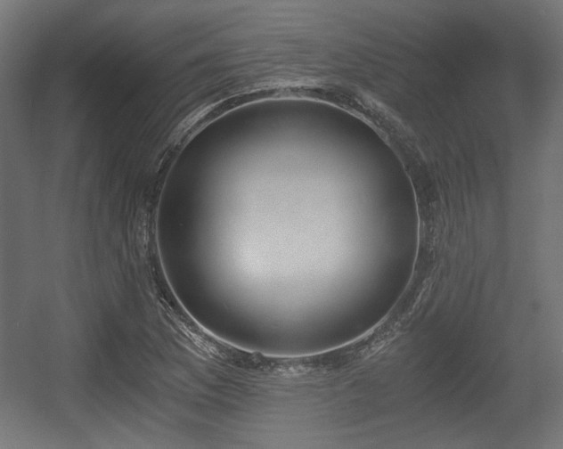 X0000056361169200508291337