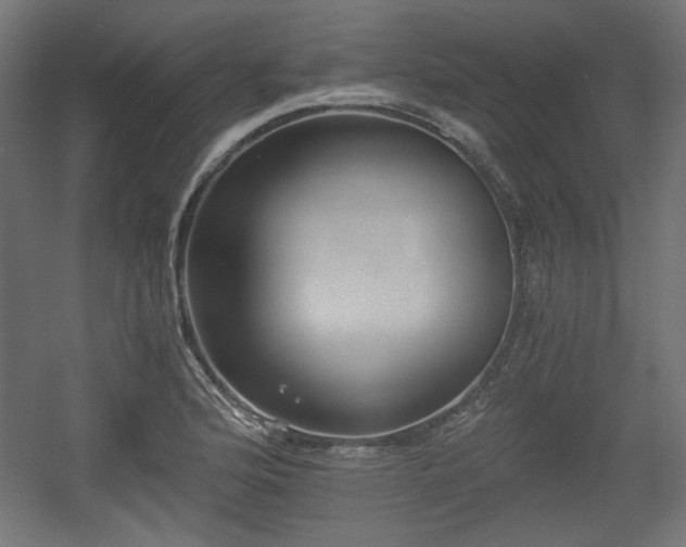 X0000056361176200508291336