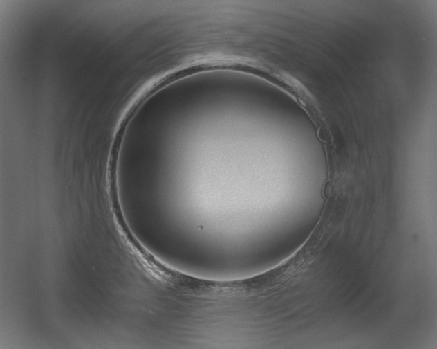 X0000056361183200508291336