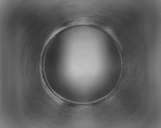 X0000056361187200508291336