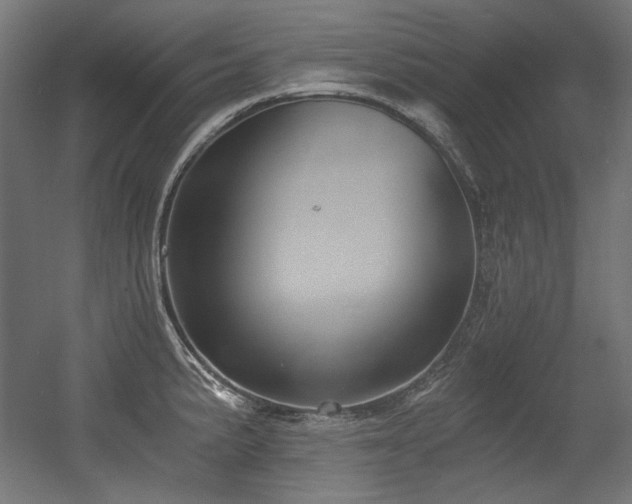 X0000056361191200508291336