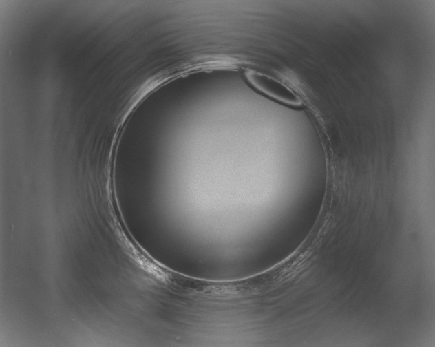 X0000056361194200508291336