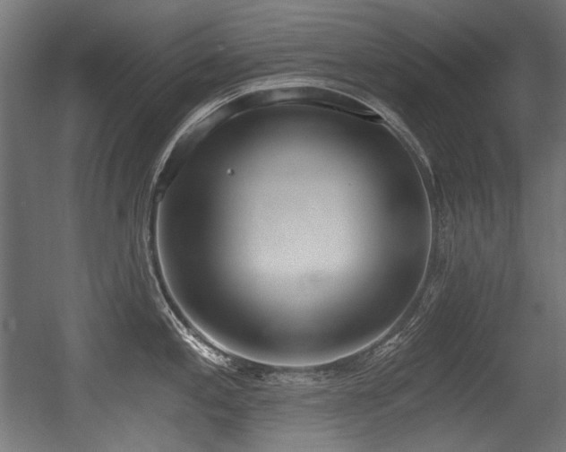 X0000056361197200508291336