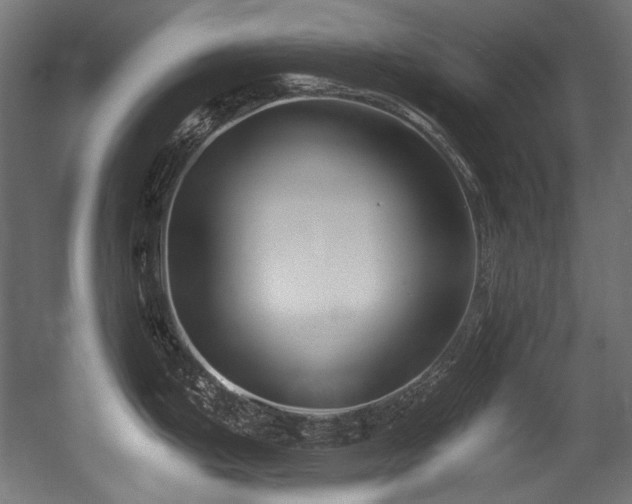 X0000056361199200508291336