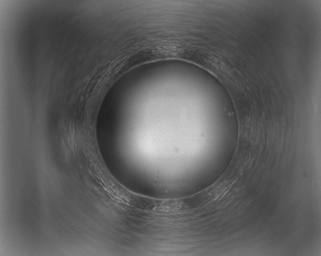 X0000056361201200508291335