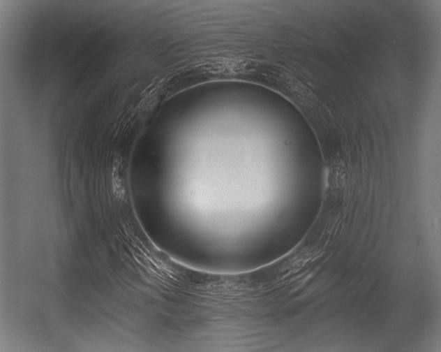 X0000056361202200508291335