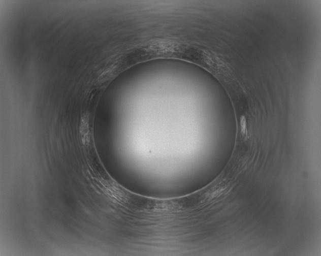 X0000056361203200508291335