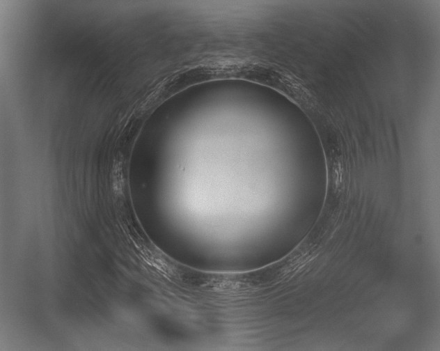 X0000056361204200508291335