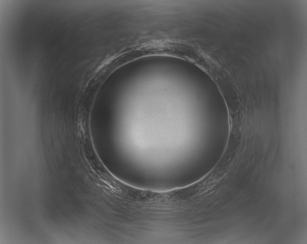 X0000056361206200508291335