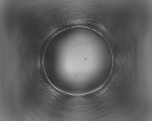 X0000056361209200508291335