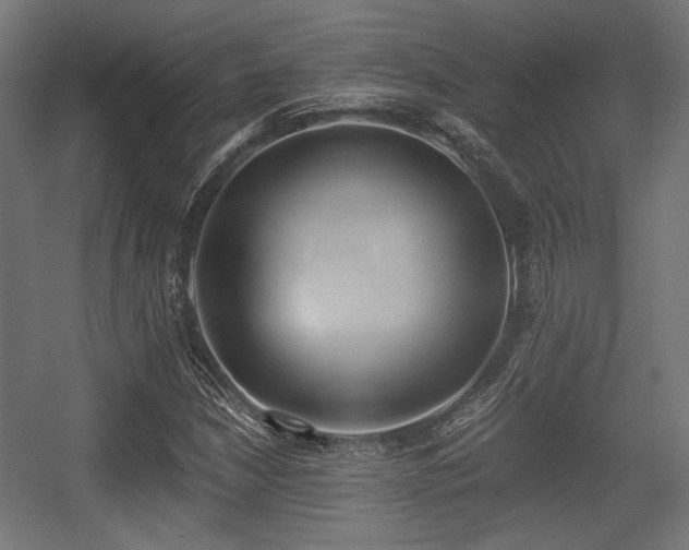 X0000056361210200508291335