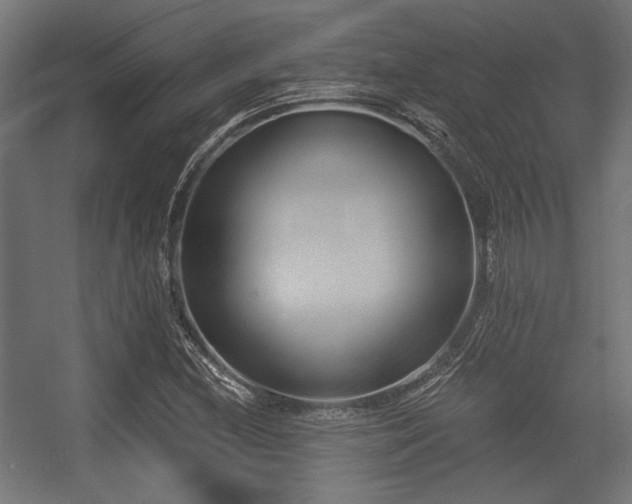 X0000056361212200508291335
