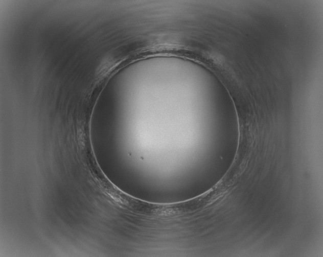 X0000056361217200508291335