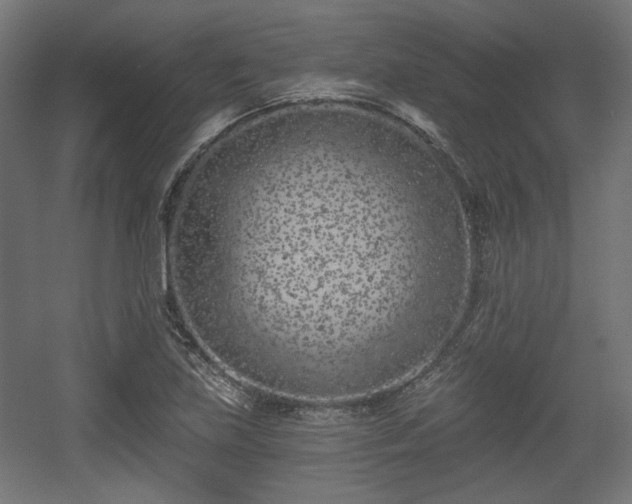 X0000056361219200508291336