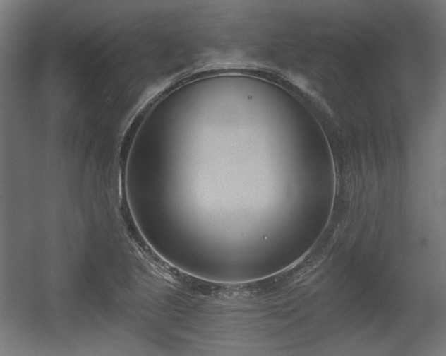 X0000056361221200508291336