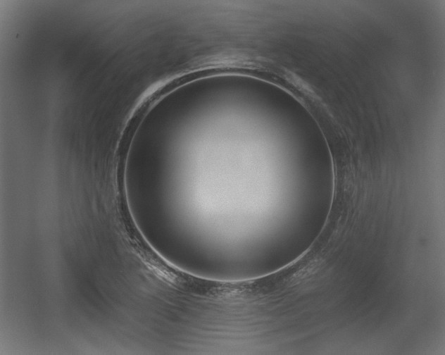 X0000056361222200508291336