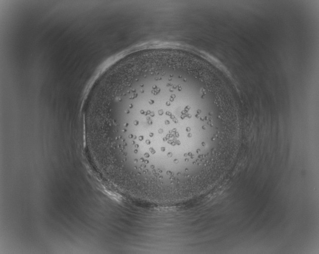 X0000056361223200508291336