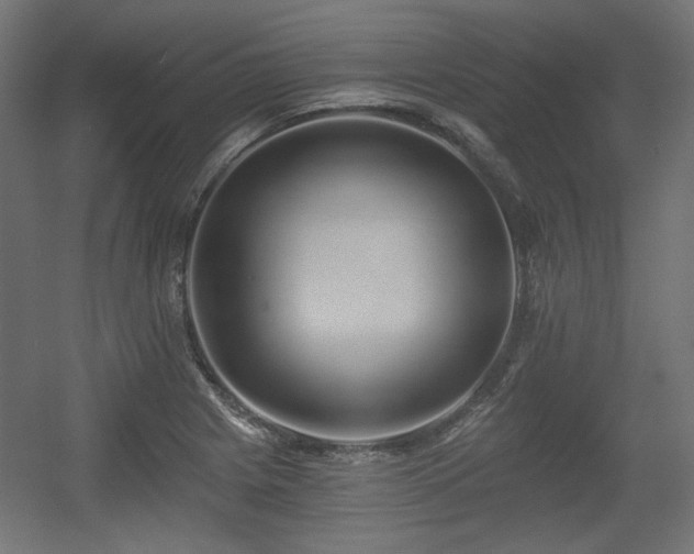 X0000056361225200508291336