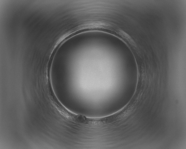 X0000056361226200508291336