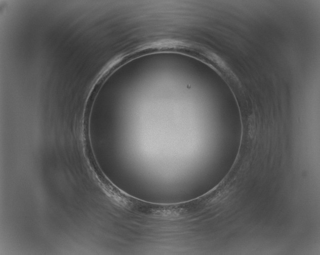 X0000056361229200508291336