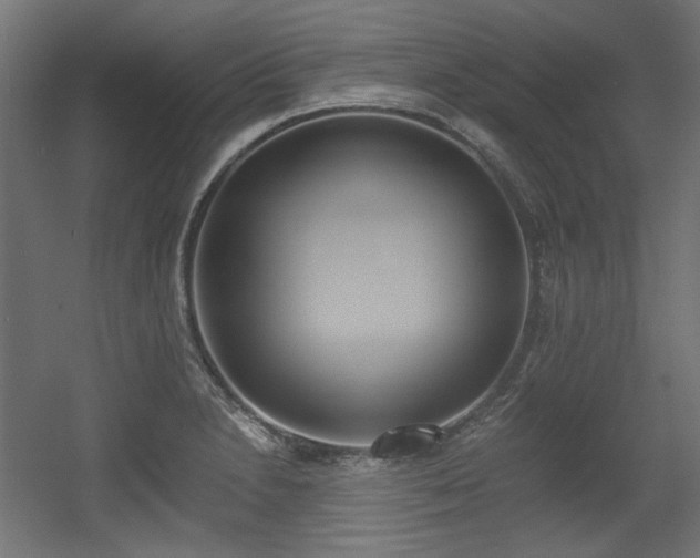 X0000056361230200508291336