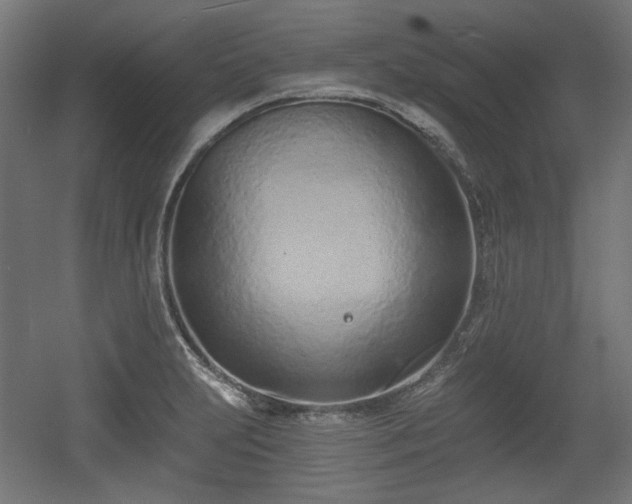 X0000056361231200508291336