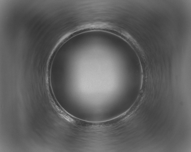 X0000056361232200508291336