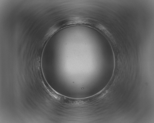 X0000056361233200508291336