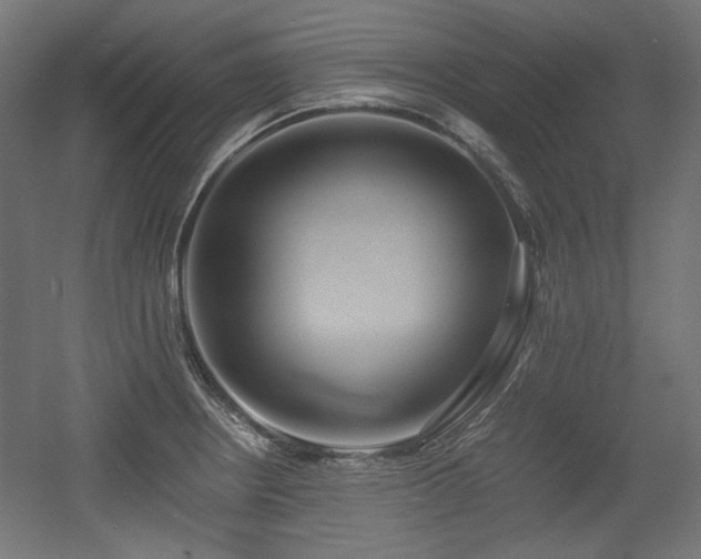 X0000056361234200508291336