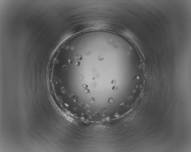 X0000056361235200508291336