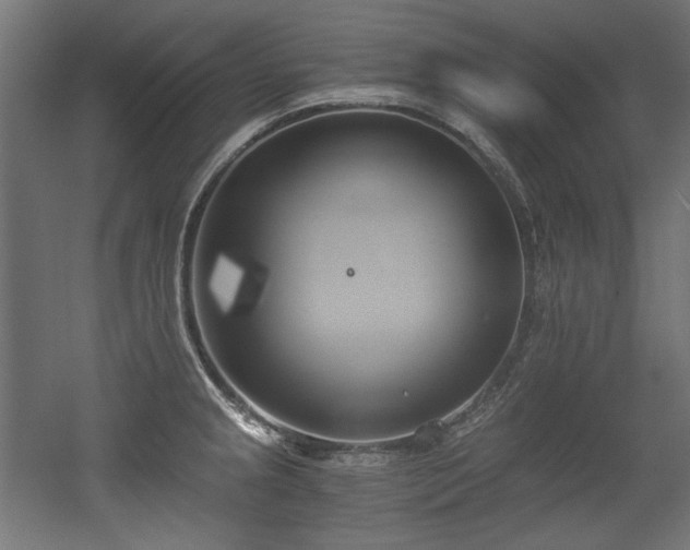 X0000056361237200508291336