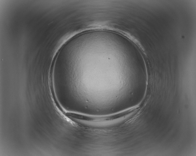 X0000056361239200508291336