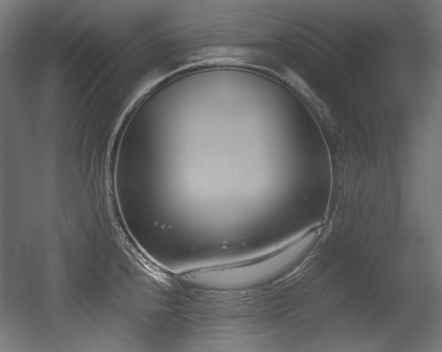 X0000056361240200508291336