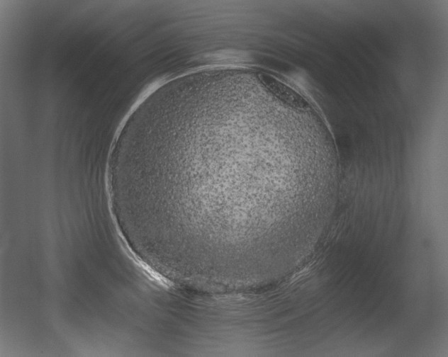 X0000056361243200508291336