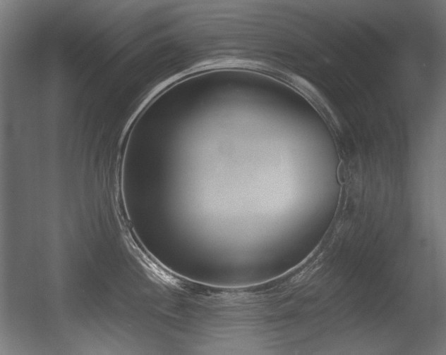 X0000056361244200508291336