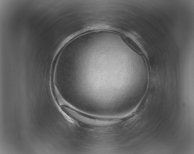 X0000056361245200508291336