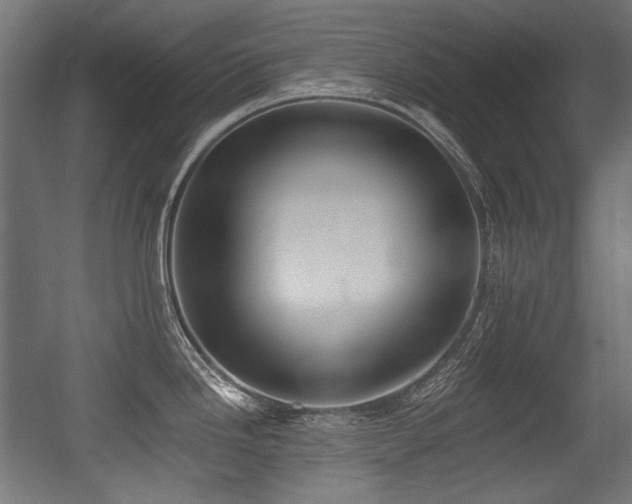 X0000056361246200508291336