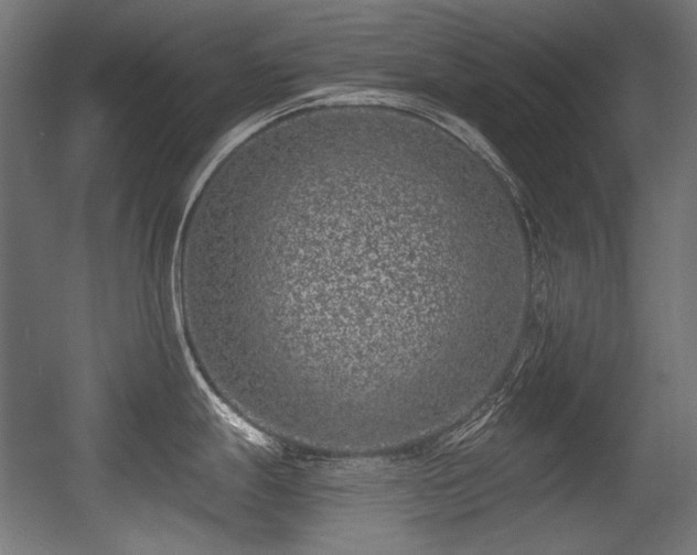X0000056361247200508291336