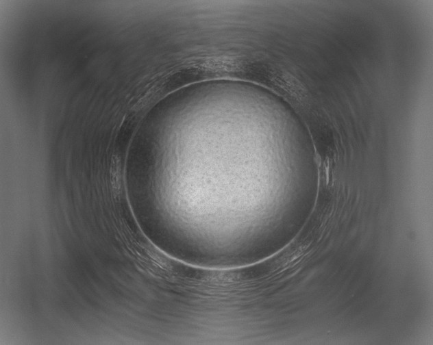 X0000056361251200508291335
