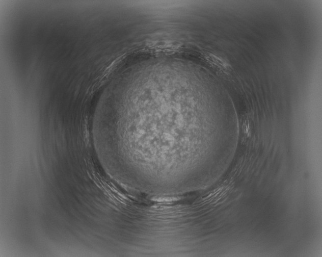 X0000056361252200508291335